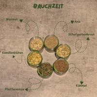 Probierpaket Bauchzeit