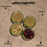 Probierpaket Widerstandszeit