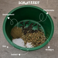 Probierpaket Schwitzzeit